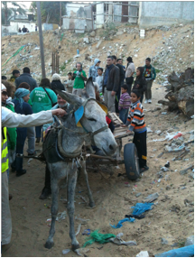 Description : Image 2